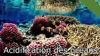 Acidification des océans MaP#19
