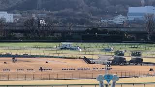 白嶺S フォギーナイト レース後に下馬・馬運車で運ばれる 東京競馬場