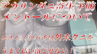 【 ニホンミツバチ 】アカリンダニ寄生予防のメントールについてご紹介します。ニホンミツバチは外来ダニをうまく払い落とせない