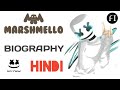 Marshmello Biography in Hindi | Marshmello Success Story in Hindi | Motivational Video