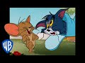 Tom & Jerry em Português 🇧🇷 | Brasil | Brincalhões | @WBKidsBrasil