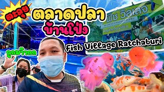 ตะลุย ตลาดปลาบ้านโป่ง ราชบุรี ปลาคราฟ ปลาทอง ถูกที่สุดในประเทศไทย Fish Village Ratchaburi Thailand