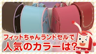 フィットちゃんランドセルで人気のカラーは？