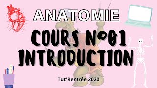 Anatomie - 01 - Introduction générale