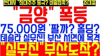 [#금양] 75,000원 곧 접근! 팔까? 홀딩? 20만원 돌파 가능성은? 테슬라 실무진 부산 도착?