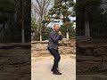 太极拳，上步七星 taichi taijiquan 太极拳 qigong 健康