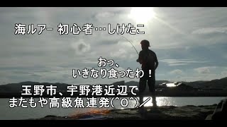 海ルアー 初心者…しけたこ　真夏の 宇野港 周辺でもう一度釣ってみた。2023年8月17日