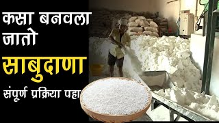 साबुदाणा कसा बनवला जातो | साबुदाणा बनवण्याची पूर्ण प्रक्रिया | sabudana making process marathi