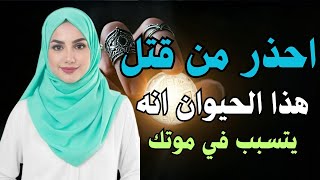 احذر من قتل هذا الحيوان سيكون سبب في موتك