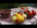 daily village life in iran baking thin breads u0026 cooking dill rice with fish