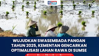 Wujudkan Swasembada Pangan Tahun 2025, Kementan Gencarkan Optimalisasi Lahan Rawa di Sumsel