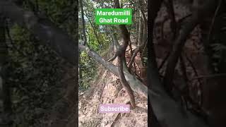 Maredumilli Ghat Road l Driving Skills l The Unseen Beauty