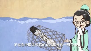 80秒看完：“浸猪笼”是怎么来的？