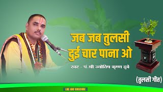 जब जब तुलसी दुई चार पाना ओ || पं. जयोतिष कृष्ण दुबे जी  || Tulsi Geet || Daiwik Manch