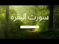 Quran Tilawat Surah Al - Baqarah | Mishary Rashid Alafasy | ( سورت البقرہ) | #TheMeaningOfQuran