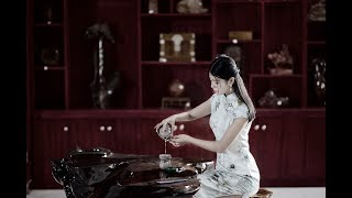 传统中国音乐 • Traditional Chinese Music Instrumental 偏偏喜歡你二胡 • 黃江琴