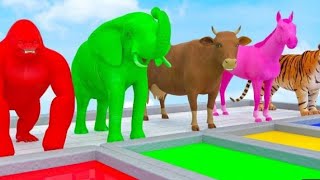 Wildest Animal Crossing Funatain Cartoon | elephant cartoon | Gorilla, Tiger, Hippo, lion,#animals