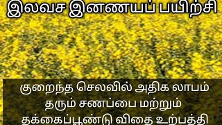 செலவில் அதிக லாபம் தரும் தக்கைப் பூண்டு மற்றும் சணப்பை விதை உற்பத்தி தொழில்நுட்பங்கள்