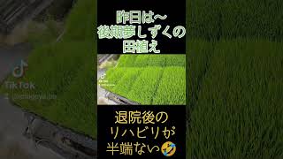 後期夢しずくの田植え#全田植え終了#佐賀県産夢しずく#お米も沢山作ってます