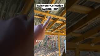 Rainwater Collection System Tour | Whole Home System  | #shorts #rainwaterharvesting