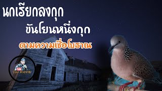 พูดคุยเรื่องนกเรียกลงกุก ขันโยนหนึ่งกุก #นกเรียกลงกุกขันโยนหนึ่งกุก #ป๋องห้วยราช