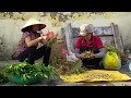 harvesting giant peanut goes to market sell lý thị hồng