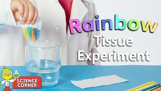 Chirp Science Corner:  🌈 Rainbow Tissue Experiment