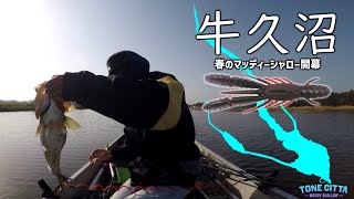 【牛久沼/4月】 豚バスの名産地へようこそ。【春/プリスポーン】2024.4