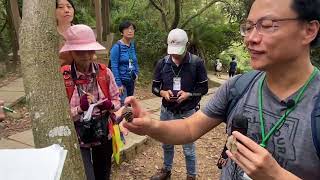 2023/10/14苗栗海岸丘陵調查生態之旅(蓮花寺)-馬尾松在苗栗丘陵的生態指標、果實及針葉的辨識