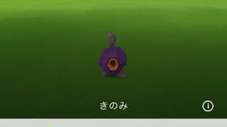 ポケモンGO ダンゴロ色違い