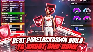 These 2 Lockdown Builds Can Do EVERYTHING! Shoot & Dunk W/ 4 Takeover Badges! Best 2k20 Builds