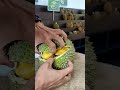 DURIAN MUSANGKING ... 🤤🤤🤤 #durian #musangking #durianviral