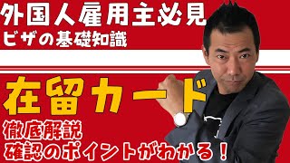 【外国人雇用】在留資格カード解説確認ポイントがわかる！外国人のビザ基礎知識