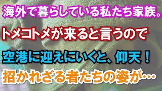 海外で暮らしている私たち家族。トメコトメが来ると言うので空港に迎えにいくと、仰天！招かれざる者たちの姿が…