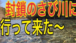 【渓流釣り 大さび川】解禁日釣りに行きたい。さび川３月1日解禁日どうなる…（栃木県） River Healing Channel