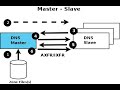 Configuring DNS Server with Zone Transfer in RHEL 7