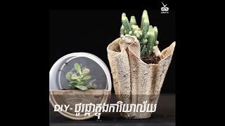 DIY-ថូផ្កាក្នុងការិយាល័យ