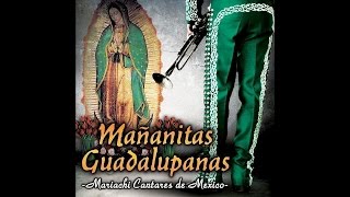 Mariachi Cantares De Mexico - Himno A La Humildad