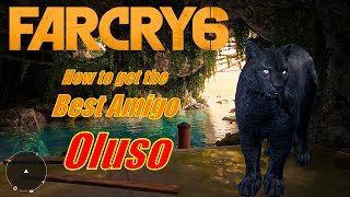 How to get the BEST Amigo Oluso in Far Cry 6