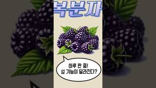 복분자, 정력에 효과가 있을까? 남성 건강 필수 정보!