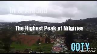 The highest peak of Nilgiries \