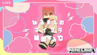 【 雑談】睡眠導入マイクラ💤家るつくる！🌙🎀【天江るな / 新人Vtuber】