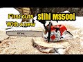 Trying out a New Stihl MS500i