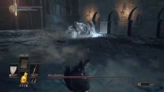 DARK SOULS III_冷たい谷のボルド撃破　ダークソウル３　PS4　ダクソ３