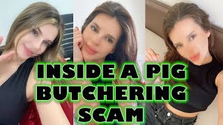 Inside a Pig Butchering Scam