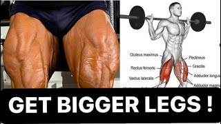 Best exercises for legs to get bigger legs
