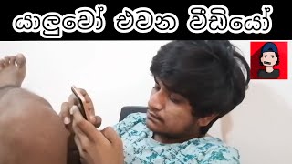 යාලුවෝ එවන වීඩියෝ | The kota