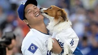 大谷翔平がＳＮＳに愛犬デコピンを投稿　ファン歓喜「今度は食いちぎらずに優しく甘噛み」