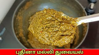 எவ்வளவு செய்தாலும் உடனே காலியாகிடும் | ஆரோக்கியமான புதினா துவையல் ருசியா இப்படி செய்து பாருங்க