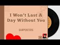 I Wont Last A Day Without You - Carpenters [Relaxing Beautiful Love Songs 70s 80s 90s Greatest Hits]